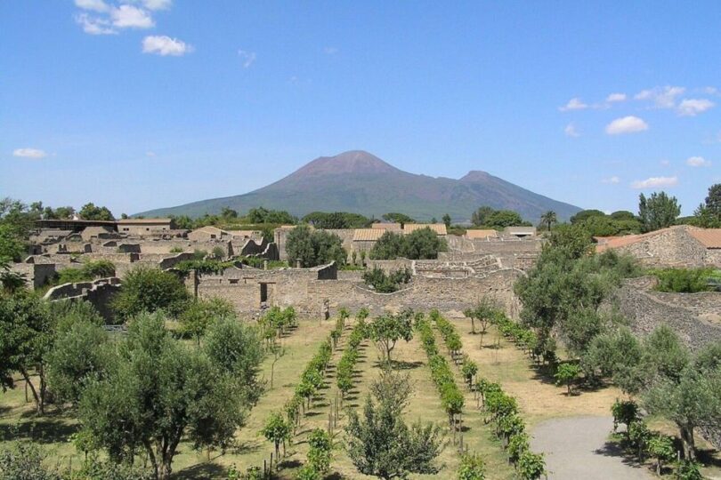 Pompeji Weinverkostung Tour